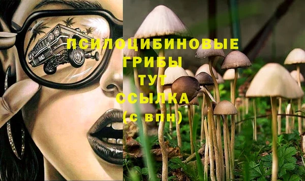 амфетамин Россошь