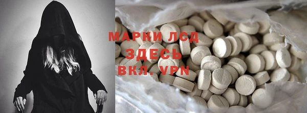 дмт Магас