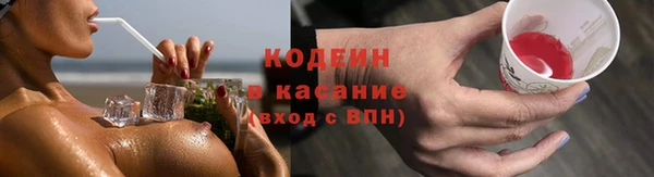 гашик Мегион