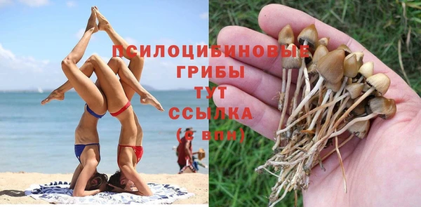 трава Елизово