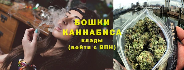 гашик Мегион
