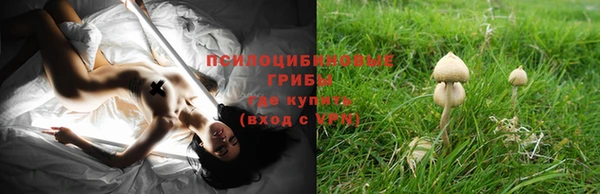 дмт Магас