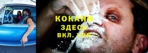 мяу мяу мука Сясьстрой