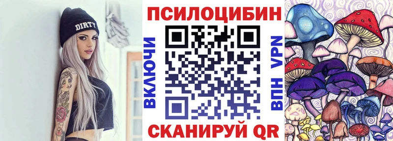 Галлюциногенные грибы Psilocybine cubensis  Кировск 