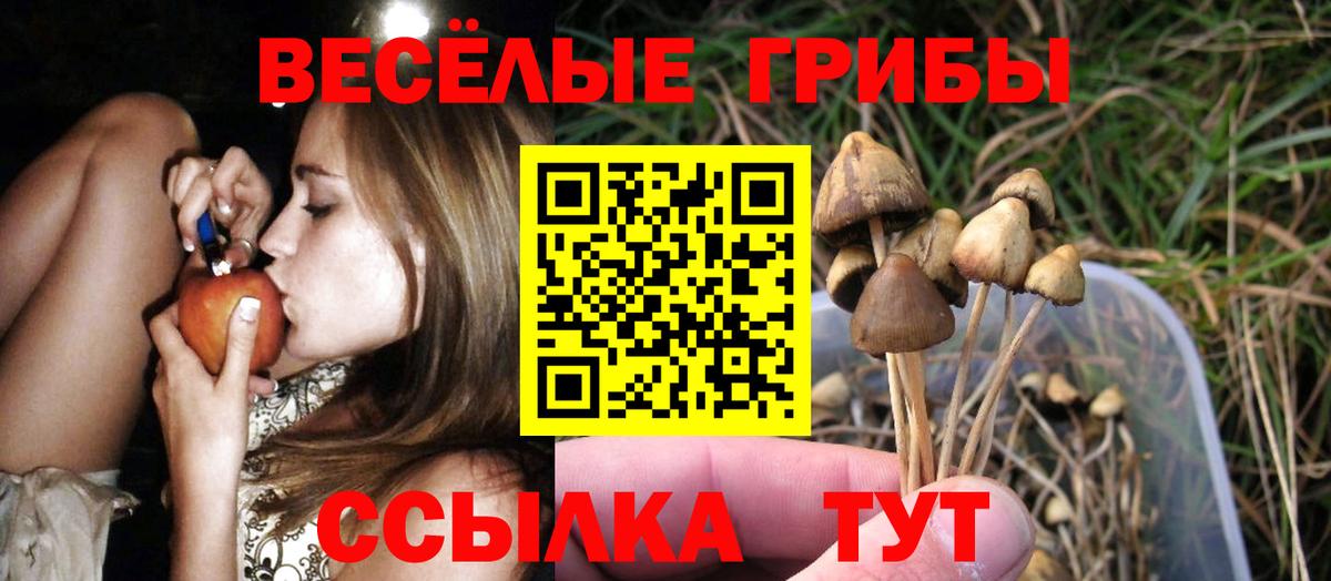 Псилоцибиновые грибы GOLDEN TEACHER Кировск