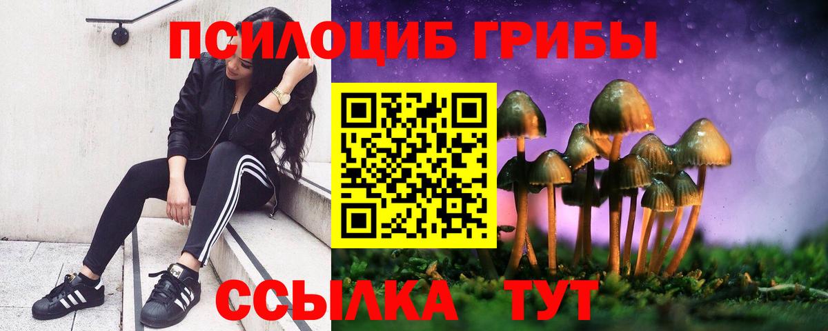 Кировск  Галлюциногенные грибы Psilocybine cubensis  Галлюциногенные грибы GOLDEN TEACHER  Вход с VPN 